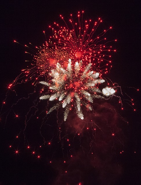 new_year_fireworks.jpg